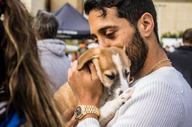 Tel Aviv, İsrail 2 Şubat 2024 SOS Hayvan Derneği 'nden yeni bir köpek sahibi yok edilmiş kibbutzlardan terk edilmiş köpeklerin evlat edinilmesi için Place Otage' da bir gün düzenliyor.