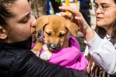 Tel Aviv, İsrail 2 Şubat 2024 SOS Hayvan Derneği 'nden yeni bir köpek sahibi yok edilmiş kibbutzlardan terk edilmiş köpeklerin evlat edinilmesi için Place Otage' da bir gün düzenliyor.
