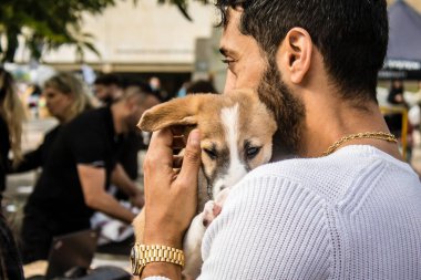 Tel Aviv, İsrail 2 Şubat 2024 SOS Hayvan Derneği 'nden yeni bir köpek sahibi yok edilmiş kibbutzlardan terk edilmiş köpeklerin evlat edinilmesi için Place Otage' da bir gün düzenliyor.
