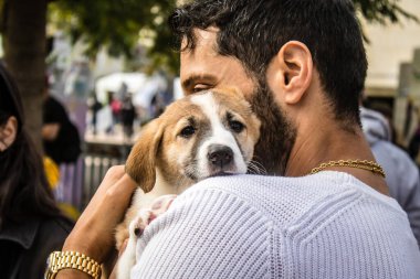 Tel Aviv, İsrail 2 Şubat 2024 SOS Hayvan Derneği 'nden yeni bir köpek sahibi yok edilmiş kibbutzlardan terk edilmiş köpeklerin evlat edinilmesi için Place Otage' da bir gün düzenliyor.