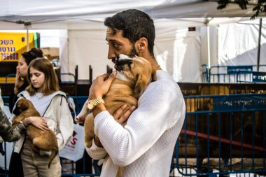 Tel Aviv, İsrail 2 Şubat 2024 SOS Animaux Derneği gönüllüleri Otage Meydanı 'nda yıkılmış kibbutzim' den terk edilmiş köpeklerin evlat edinilmesine adanmış bir gün organize ediyorlar.