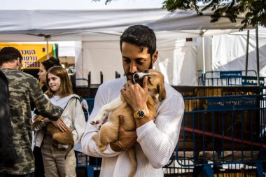 Tel Aviv, İsrail 2 Şubat 2024 SOS Animaux Derneği gönüllüleri Otage Meydanı 'nda yıkılmış kibbutzim' den terk edilmiş köpeklerin evlat edinilmesine adanmış bir gün organize ediyorlar.