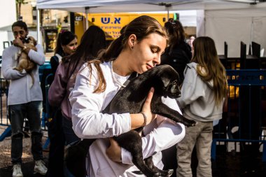 Tel Aviv, İsrail 2 Şubat 2024 SOS Animaux Derneği gönüllüleri Otage Meydanı 'nda yıkılmış kibbutzim' den terk edilmiş köpeklerin evlat edinilmesine adanmış bir gün organize ediyorlar.