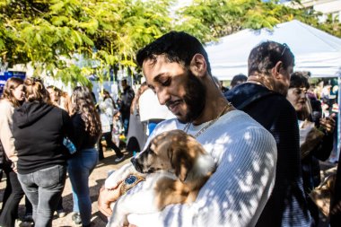 Tel Aviv, İsrail 2 Şubat 2024 SOS Animaux Derneği gönüllüleri Otage Meydanı 'nda yıkılmış kibbutzim' den terk edilmiş köpeklerin evlat edinilmesine adanmış bir gün organize ediyorlar.