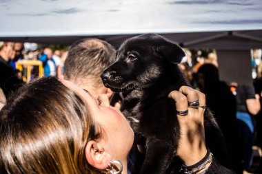 Tel Aviv, İsrail 2 Şubat 2024 SOS Animaux Derneği gönüllüleri Otage Meydanı 'nda yıkılmış kibbutzim' den terk edilmiş köpeklerin evlat edinilmesine adanmış bir gün organize ediyorlar.