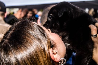 Tel Aviv, İsrail 2 Şubat 2024 SOS Animaux Derneği gönüllüleri Otage Meydanı 'nda yıkılmış kibbutzim' den terk edilmiş köpeklerin evlat edinilmesine adanmış bir gün organize ediyorlar.