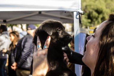 Tel Aviv, İsrail 2 Şubat 2024 SOS Animaux Derneği gönüllüleri Otage Meydanı 'nda yıkılmış kibbutzim' den terk edilmiş köpeklerin evlat edinilmesine adanmış bir gün organize ediyorlar.