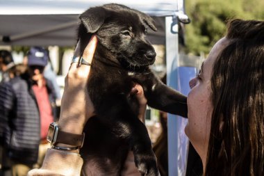 Tel Aviv, İsrail 2 Şubat 2024 SOS Animaux Derneği gönüllüleri Otage Meydanı 'nda yıkılmış kibbutzim' den terk edilmiş köpeklerin evlat edinilmesine adanmış bir gün organize ediyorlar.
