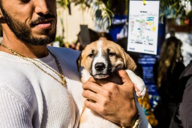 Tel Aviv, İsrail 2 Şubat 2024 SOS Animaux Derneği gönüllüleri Otage Meydanı 'nda yıkılmış kibbutzim' den terk edilmiş köpeklerin evlat edinilmesine adanmış bir gün organize ediyorlar.