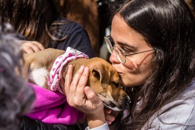 Tel Aviv, İsrail 2 Şubat 2024 SOS Animaux Derneği gönüllüleri Otage Meydanı 'nda yıkılmış kibbutzim' den terk edilmiş köpeklerin evlat edinilmesine adanmış bir gün organize ediyorlar.