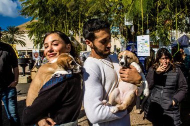 Tel Aviv, İsrail 2 Şubat 2024 SOS Animaux Derneği gönüllüleri Otage Meydanı 'nda yıkılmış kibbutzim' den terk edilmiş köpeklerin evlat edinilmesine adanmış bir gün organize ediyorlar.