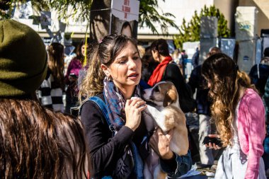 Tel Aviv, İsrail 2 Şubat 2024 SOS Animaux Derneği gönüllüleri Otage Meydanı 'nda yıkılmış kibbutzim' den terk edilmiş köpeklerin evlat edinilmesine adanmış bir gün organize ediyorlar.