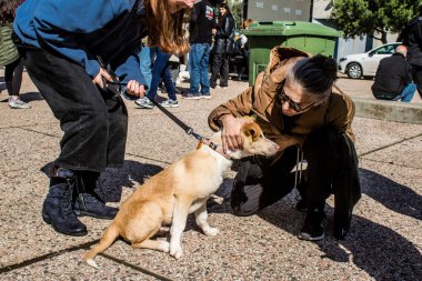 Tel Aviv, İsrail 2 Şubat 2024 SOS Animaux Derneği gönüllüleri Otage Meydanı 'nda yıkılmış kibbutzim' den terk edilmiş köpeklerin evlat edinilmesine adanmış bir gün organize ediyorlar.