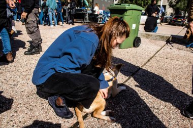 Tel Aviv, İsrail 2 Şubat 2024 SOS Animaux Derneği gönüllüleri Otage Meydanı 'nda yıkılmış kibbutzim' den terk edilmiş köpeklerin evlat edinilmesine adanmış bir gün organize ediyorlar.