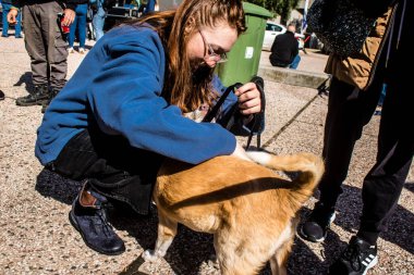 Tel Aviv, İsrail 2 Şubat 2024 SOS Animaux Derneği gönüllüleri Otage Meydanı 'nda yıkılmış kibbutzim' den terk edilmiş köpeklerin evlat edinilmesine adanmış bir gün organize ediyorlar.