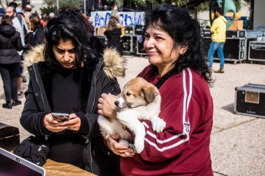 Tel Aviv, İsrail 2 Şubat 2024 SOS Animaux Derneği gönüllüleri Otage Meydanı 'nda yıkılmış kibbutzim' den terk edilmiş köpeklerin evlat edinilmesine adanmış bir gün organize ediyorlar.