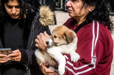 Tel Aviv, İsrail 2 Şubat 2024 SOS Animaux Derneği gönüllüleri Otage Meydanı 'nda yıkılmış kibbutzim' den terk edilmiş köpeklerin evlat edinilmesine adanmış bir gün organize ediyorlar.