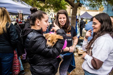 Tel Aviv, İsrail 2 Şubat 2024 SOS Animaux Derneği gönüllüleri Otage Meydanı 'nda yıkılmış kibbutzim' den terk edilmiş köpeklerin evlat edinilmesine adanmış bir gün organize ediyorlar.