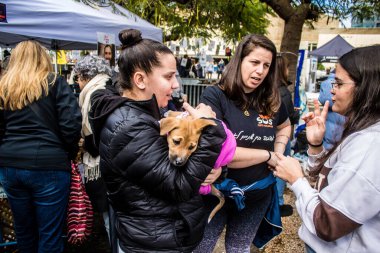 Tel Aviv, İsrail 2 Şubat 2024 SOS Animaux Derneği gönüllüleri Otage Meydanı 'nda yıkılmış kibbutzim' den terk edilmiş köpeklerin evlat edinilmesine adanmış bir gün organize ediyorlar.