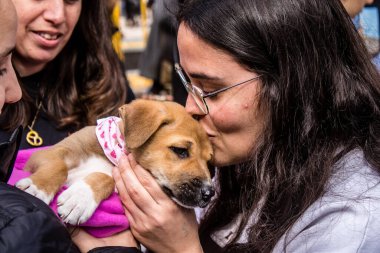 Tel Aviv, İsrail 2 Şubat 2024 SOS Animaux Derneği gönüllüleri Otage Meydanı 'nda yıkılmış kibbutzim' den terk edilmiş köpeklerin evlat edinilmesine adanmış bir gün organize ediyorlar.