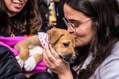 Tel Aviv, İsrail 2 Şubat 2024 SOS Animaux Derneği gönüllüleri Otage Meydanı 'nda yıkılmış kibbutzim' den terk edilmiş köpeklerin evlat edinilmesine adanmış bir gün organize ediyorlar.