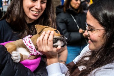 Tel Aviv, İsrail 2 Şubat 2024 SOS Animaux Derneği gönüllüleri Otage Meydanı 'nda yıkılmış kibbutzim' den terk edilmiş köpeklerin evlat edinilmesine adanmış bir gün organize ediyorlar.