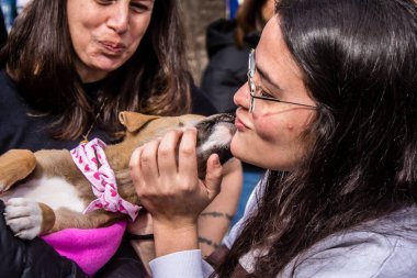 Tel Aviv, İsrail 2 Şubat 2024 SOS Animaux Derneği gönüllüleri Otage Meydanı 'nda yıkılmış kibbutzim' den terk edilmiş köpeklerin evlat edinilmesine adanmış bir gün organize ediyorlar.