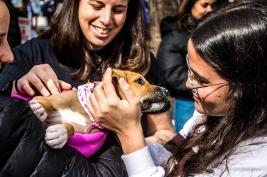 Tel Aviv, İsrail 2 Şubat 2024 SOS Animaux Derneği gönüllüleri Otage Meydanı 'nda yıkılmış kibbutzim' den terk edilmiş köpeklerin evlat edinilmesine adanmış bir gün organize ediyorlar.
