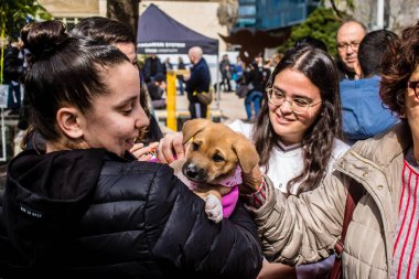 Tel Aviv, İsrail 2 Şubat 2024 SOS Animaux Derneği gönüllüleri Otage Meydanı 'nda yıkılmış kibbutzim' den terk edilmiş köpeklerin evlat edinilmesine adanmış bir gün organize ediyorlar.
