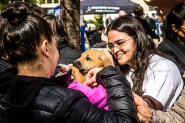 Tel Aviv, İsrail 2 Şubat 2024 SOS Animaux Derneği gönüllüleri Otage Meydanı 'nda yıkılmış kibbutzim' den terk edilmiş köpeklerin evlat edinilmesine adanmış bir gün organize ediyorlar.