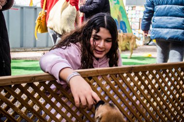 Tel Aviv, İsrail 2 Şubat 2024 SOS Animaux Derneği gönüllüleri Otage Meydanı 'nda yıkılmış kibbutzim' den terk edilmiş köpeklerin evlat edinilmesine adanmış bir gün organize ediyorlar.