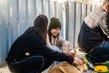 Tel Aviv, İsrail 2 Şubat 2024 SOS Animaux Derneği gönüllüleri Otage Meydanı 'nda yıkılmış kibbutzim' den terk edilmiş köpeklerin evlat edinilmesine adanmış bir gün organize ediyorlar.