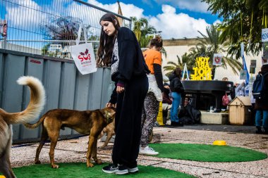 Tel Aviv, İsrail 2 Şubat 2024 SOS Animaux Derneği gönüllüleri Otage Meydanı 'nda yıkılmış kibbutzim' den terk edilmiş köpeklerin evlat edinilmesine adanmış bir gün organize ediyorlar.