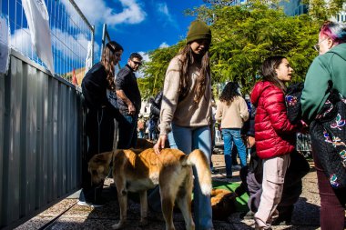 Tel Aviv, İsrail 2 Şubat 2024 SOS Animaux Derneği gönüllüleri Otage Meydanı 'nda yıkılmış kibbutzim' den terk edilmiş köpeklerin evlat edinilmesine adanmış bir gün organize ediyorlar.