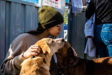 Tel Aviv, İsrail 2 Şubat 2024 SOS Animaux Derneği gönüllüleri Otage Meydanı 'nda yıkılmış kibbutzim' den terk edilmiş köpeklerin evlat edinilmesine adanmış bir gün organize ediyorlar.