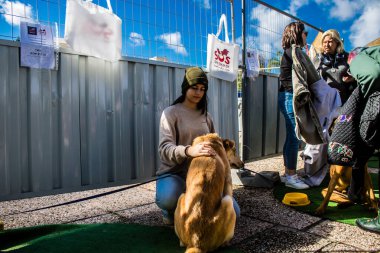 Tel Aviv, İsrail 2 Şubat 2024 SOS Animaux Derneği gönüllüleri Otage Meydanı 'nda yıkılmış kibbutzim' den terk edilmiş köpeklerin evlat edinilmesine adanmış bir gün organize ediyorlar.