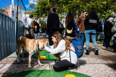 Tel Aviv, İsrail 2 Şubat 2024 SOS Animaux Derneği gönüllüleri Otage Meydanı 'nda yıkılmış kibbutzim' den terk edilmiş köpeklerin evlat edinilmesine adanmış bir gün organize ediyorlar.