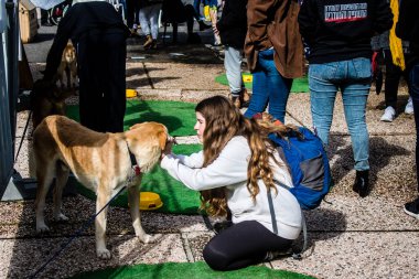 Tel Aviv, İsrail 2 Şubat 2024 SOS Animaux Derneği gönüllüleri Otage Meydanı 'nda yıkılmış kibbutzim' den terk edilmiş köpeklerin evlat edinilmesine adanmış bir gün organize ediyorlar.