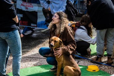 Tel Aviv, İsrail 2 Şubat 2024 SOS Animaux Derneği gönüllüleri Otage Meydanı 'nda yıkılmış kibbutzim' den terk edilmiş köpeklerin evlat edinilmesine adanmış bir gün organize ediyorlar.