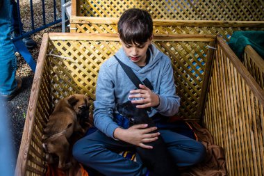 Tel Aviv, İsrail 2 Şubat 2024 SOS Animaux Derneği gönüllüleri Otage Meydanı 'nda yıkılmış kibbutzim' den terk edilmiş köpeklerin evlat edinilmesine adanmış bir gün organize ediyorlar.