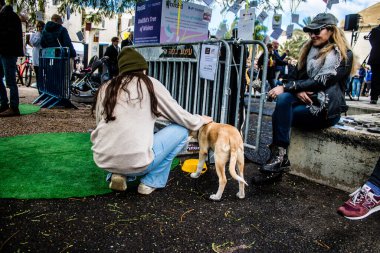 Tel Aviv, İsrail 2 Şubat 2024 SOS Animaux Derneği gönüllüleri Otage Meydanı 'nda yıkılmış kibbutzim' den terk edilmiş köpeklerin evlat edinilmesine adanmış bir gün organize ediyorlar.