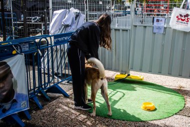 Tel Aviv, İsrail 2 Şubat 2024 SOS Animaux Derneği gönüllüleri Otage Meydanı 'nda yıkılmış kibbutzim' den terk edilmiş köpeklerin evlat edinilmesine adanmış bir gün organize ediyorlar.