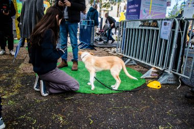Tel Aviv, İsrail 2 Şubat 2024 SOS Animaux Derneği gönüllüleri Otage Meydanı 'nda yıkılmış kibbutzim' den terk edilmiş köpeklerin evlat edinilmesine adanmış bir gün organize ediyorlar.