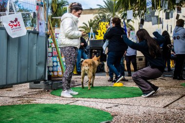 Tel Aviv, İsrail 2 Şubat 2024 SOS Animaux Derneği gönüllüleri Otage Meydanı 'nda yıkılmış kibbutzim' den terk edilmiş köpeklerin evlat edinilmesine adanmış bir gün organize ediyorlar.