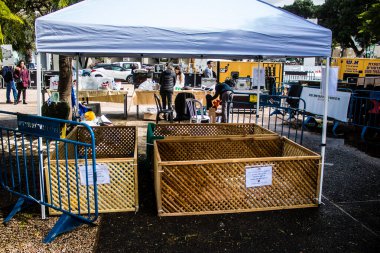 Tel Aviv, İsrail 2 Şubat 2024 SOS Hayvanları Derneği, Hamas terörist saldırısının ardından terk edilmiş köpeklerin evlat edinilmesine adanmış Otages Meydanı 'nda bir gün düzenledi.