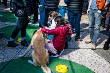 Tel Aviv, İsrail 2 Şubat 2024 SOS Hayvan Derneği 'nden gençler. Otage Meydanı' nda terk edilmiş köpeklerin yok edilmiş kibbutzlardan evlat edinilmesine adanmış bir gün düzenliyorlar.