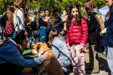 Tel Aviv, İsrail 2 Şubat 2024 SOS Hayvan Derneği 'nden gençler. Otage Meydanı' nda terk edilmiş köpeklerin yok edilmiş kibbutzlardan evlat edinilmesine adanmış bir gün düzenliyorlar.