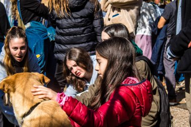 Tel Aviv, İsrail 2 Şubat 2024 SOS Hayvan Derneği 'nden gençler. Otage Meydanı' nda terk edilmiş köpeklerin yok edilmiş kibbutzlardan evlat edinilmesine adanmış bir gün düzenliyorlar.