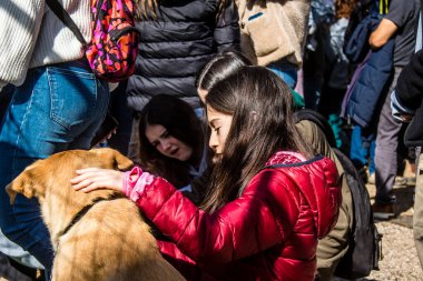 Tel Aviv, İsrail 2 Şubat 2024 SOS Hayvan Derneği 'nden gençler. Otage Meydanı' nda terk edilmiş köpeklerin yok edilmiş kibbutzlardan evlat edinilmesine adanmış bir gün düzenliyorlar.