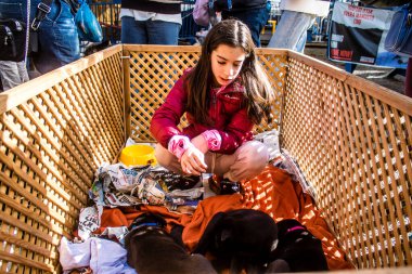 Tel Aviv, İsrail 2 Şubat 2024 SOS Hayvan Derneği 'nden gençler. Otage Meydanı' nda terk edilmiş köpeklerin yok edilmiş kibbutzlardan evlat edinilmesine adanmış bir gün düzenliyorlar.